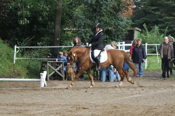 Bild 111 - WBO-Turnier am 18.9.11